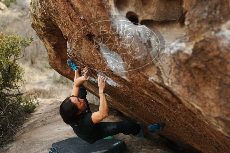 Bouldering in Hueco Tanks on 01/06/2019 with Blue Lizard Climbing and Yoga

Filename: SRM_20190106_1331211.jpg
Aperture: f/2.5
Shutter Speed: 1/500
Body: Canon EOS-1D Mark II
Lens: Canon EF 50mm f/1.8 II