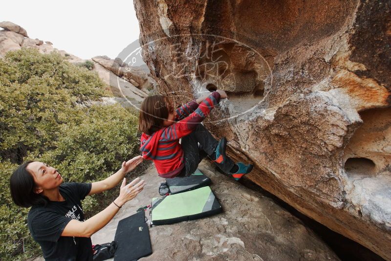 Bouldering in Hueco Tanks on 01/06/2019 with Blue Lizard Climbing and Yoga

Filename: SRM_20190106_1339180.jpg
Aperture: f/5.6
Shutter Speed: 1/200
Body: Canon EOS-1D Mark II
Lens: Canon EF 16-35mm f/2.8 L