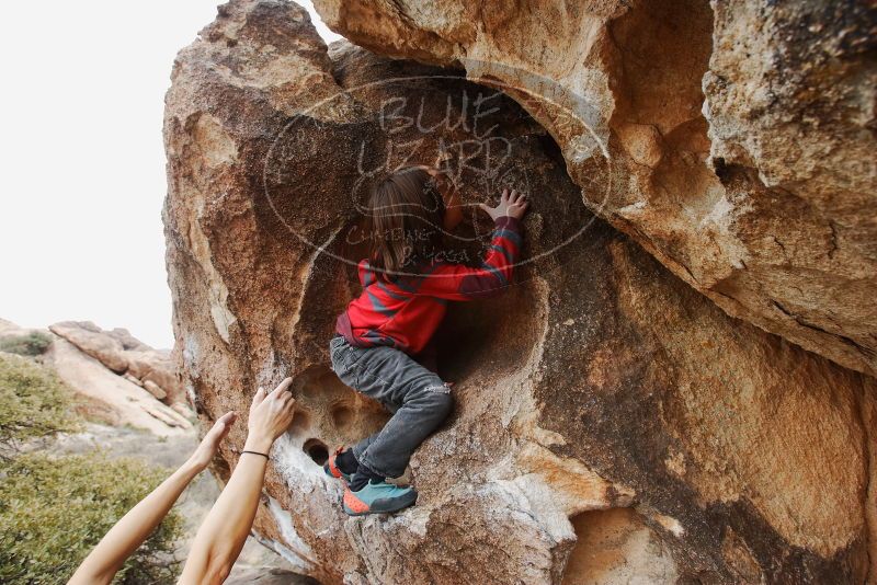 Bouldering in Hueco Tanks on 01/06/2019 with Blue Lizard Climbing and Yoga

Filename: SRM_20190106_1341010.jpg
Aperture: f/5.6
Shutter Speed: 1/160
Body: Canon EOS-1D Mark II
Lens: Canon EF 16-35mm f/2.8 L