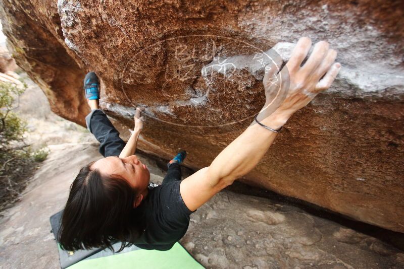 Bouldering in Hueco Tanks on 01/06/2019 with Blue Lizard Climbing and Yoga

Filename: SRM_20190106_1349440.jpg
Aperture: f/4.0
Shutter Speed: 1/400
Body: Canon EOS-1D Mark II
Lens: Canon EF 16-35mm f/2.8 L