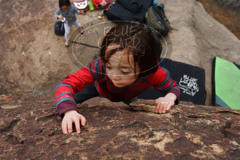 Bouldering in Hueco Tanks on 01/06/2019 with Blue Lizard Climbing and Yoga

Filename: SRM_20190106_1507100.jpg
Aperture: f/5.6
Shutter Speed: 1/320
Body: Canon EOS-1D Mark II
Lens: Canon EF 16-35mm f/2.8 L