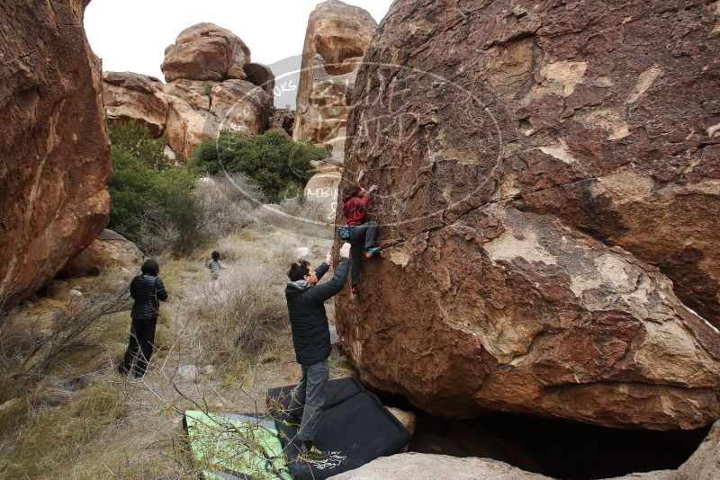 Bouldering in Hueco Tanks on 01/06/2019 with Blue Lizard Climbing and Yoga

Filename: SRM_20190106_1525080.jpg
Aperture: f/5.6
Shutter Speed: 1/160
Body: Canon EOS-1D Mark II
Lens: Canon EF 16-35mm f/2.8 L