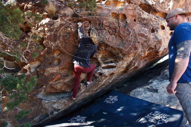 Bouldering in Hueco Tanks on 01/12/2019 with Blue Lizard Climbing and Yoga

Filename: SRM_20190112_1046080.jpg
Aperture: f/4.5
Shutter Speed: 1/250
Body: Canon EOS-1D Mark II
Lens: Canon EF 16-35mm f/2.8 L