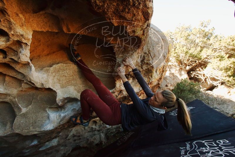 Bouldering in Hueco Tanks on 01/12/2019 with Blue Lizard Climbing and Yoga

Filename: SRM_20190112_1106030.jpg
Aperture: f/7.1
Shutter Speed: 1/200
Body: Canon EOS-1D Mark II
Lens: Canon EF 16-35mm f/2.8 L