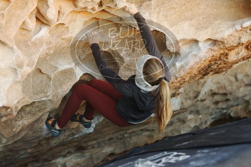 Bouldering in Hueco Tanks on 01/12/2019 with Blue Lizard Climbing and Yoga

Filename: SRM_20190112_1126530.jpg
Aperture: f/2.8
Shutter Speed: 1/250
Body: Canon EOS-1D Mark II
Lens: Canon EF 50mm f/1.8 II