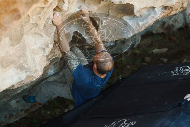 Bouldering in Hueco Tanks on 01/12/2019 with Blue Lizard Climbing and Yoga

Filename: SRM_20190112_1133260.jpg
Aperture: f/2.5
Shutter Speed: 1/250
Body: Canon EOS-1D Mark II
Lens: Canon EF 50mm f/1.8 II