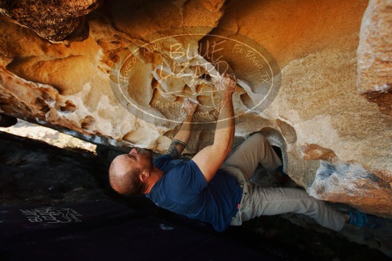 Bouldering in Hueco Tanks on 01/12/2019 with Blue Lizard Climbing and Yoga

Filename: SRM_20190112_1144270.jpg
Aperture: f/4.5
Shutter Speed: 1/250
Body: Canon EOS-1D Mark II
Lens: Canon EF 16-35mm f/2.8 L