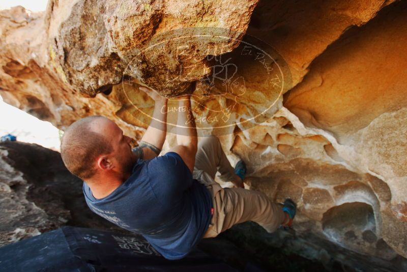 Bouldering in Hueco Tanks on 01/12/2019 with Blue Lizard Climbing and Yoga

Filename: SRM_20190112_1144330.jpg
Aperture: f/4.0
Shutter Speed: 1/250
Body: Canon EOS-1D Mark II
Lens: Canon EF 16-35mm f/2.8 L