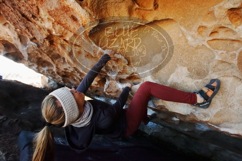 Bouldering in Hueco Tanks on 01/12/2019 with Blue Lizard Climbing and Yoga

Filename: SRM_20190112_1205560.jpg
Aperture: f/6.3
Shutter Speed: 1/250
Body: Canon EOS-1D Mark II
Lens: Canon EF 16-35mm f/2.8 L