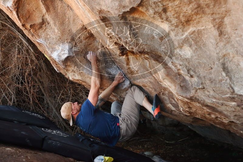 Bouldering in Hueco Tanks on 01/12/2019 with Blue Lizard Climbing and Yoga

Filename: SRM_20190112_1248040.jpg
Aperture: f/4.0
Shutter Speed: 1/250
Body: Canon EOS-1D Mark II
Lens: Canon EF 50mm f/1.8 II