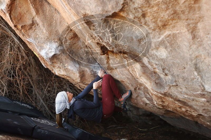 Bouldering in Hueco Tanks on 01/12/2019 with Blue Lizard Climbing and Yoga

Filename: SRM_20190112_1252010.jpg
Aperture: f/3.5
Shutter Speed: 1/250
Body: Canon EOS-1D Mark II
Lens: Canon EF 50mm f/1.8 II