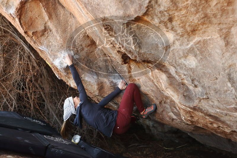 Bouldering in Hueco Tanks on 01/12/2019 with Blue Lizard Climbing and Yoga

Filename: SRM_20190112_1252050.jpg
Aperture: f/3.5
Shutter Speed: 1/250
Body: Canon EOS-1D Mark II
Lens: Canon EF 50mm f/1.8 II