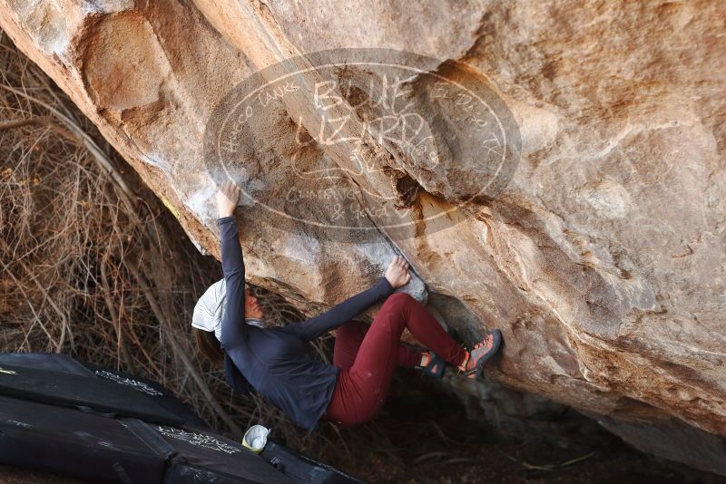 Bouldering in Hueco Tanks on 01/12/2019 with Blue Lizard Climbing and Yoga

Filename: SRM_20190112_1252070.jpg
Aperture: f/3.5
Shutter Speed: 1/250
Body: Canon EOS-1D Mark II
Lens: Canon EF 50mm f/1.8 II