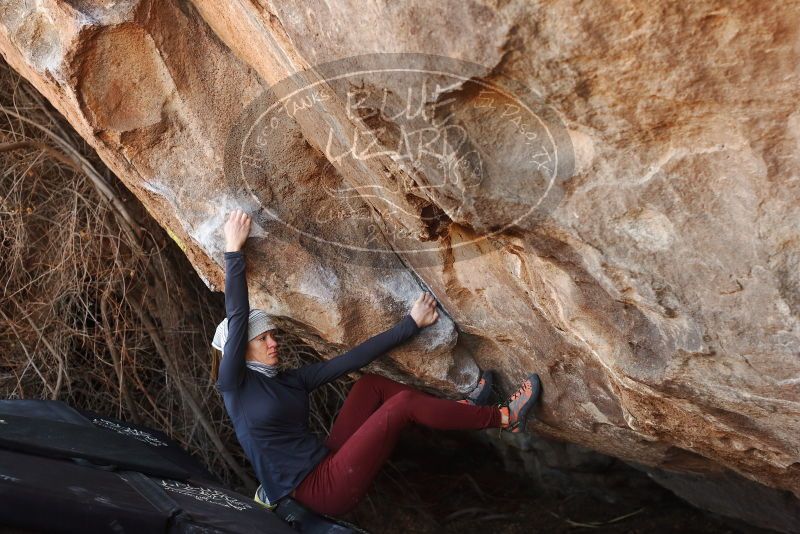 Bouldering in Hueco Tanks on 01/12/2019 with Blue Lizard Climbing and Yoga

Filename: SRM_20190112_1252130.jpg
Aperture: f/4.0
Shutter Speed: 1/250
Body: Canon EOS-1D Mark II
Lens: Canon EF 50mm f/1.8 II