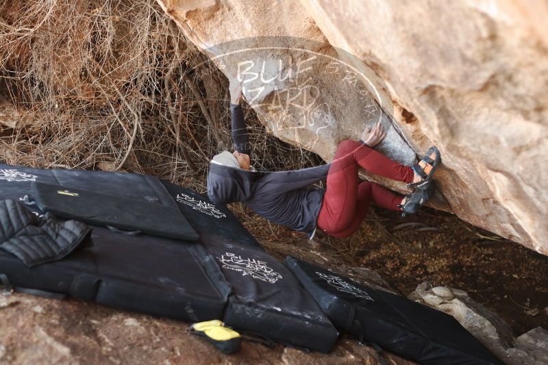 Bouldering in Hueco Tanks on 01/12/2019 with Blue Lizard Climbing and Yoga

Filename: SRM_20190112_1306250.jpg
Aperture: f/2.8
Shutter Speed: 1/320
Body: Canon EOS-1D Mark II
Lens: Canon EF 50mm f/1.8 II