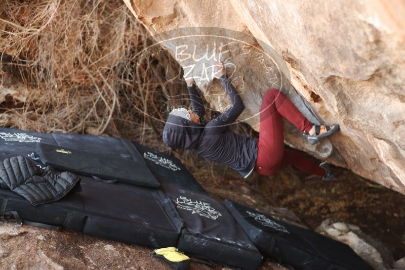 Bouldering in Hueco Tanks on 01/12/2019 with Blue Lizard Climbing and Yoga

Filename: SRM_20190112_1306290.jpg
Aperture: f/2.8
Shutter Speed: 1/320
Body: Canon EOS-1D Mark II
Lens: Canon EF 50mm f/1.8 II