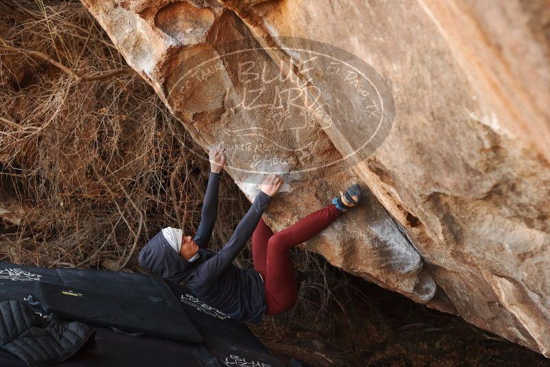 Bouldering in Hueco Tanks on 01/12/2019 with Blue Lizard Climbing and Yoga

Filename: SRM_20190112_1306440.jpg
Aperture: f/4.0
Shutter Speed: 1/320
Body: Canon EOS-1D Mark II
Lens: Canon EF 50mm f/1.8 II