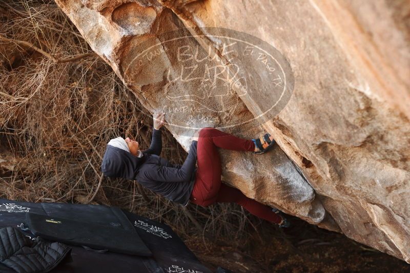 Bouldering in Hueco Tanks on 01/12/2019 with Blue Lizard Climbing and Yoga

Filename: SRM_20190112_1306460.jpg
Aperture: f/4.0
Shutter Speed: 1/320
Body: Canon EOS-1D Mark II
Lens: Canon EF 50mm f/1.8 II