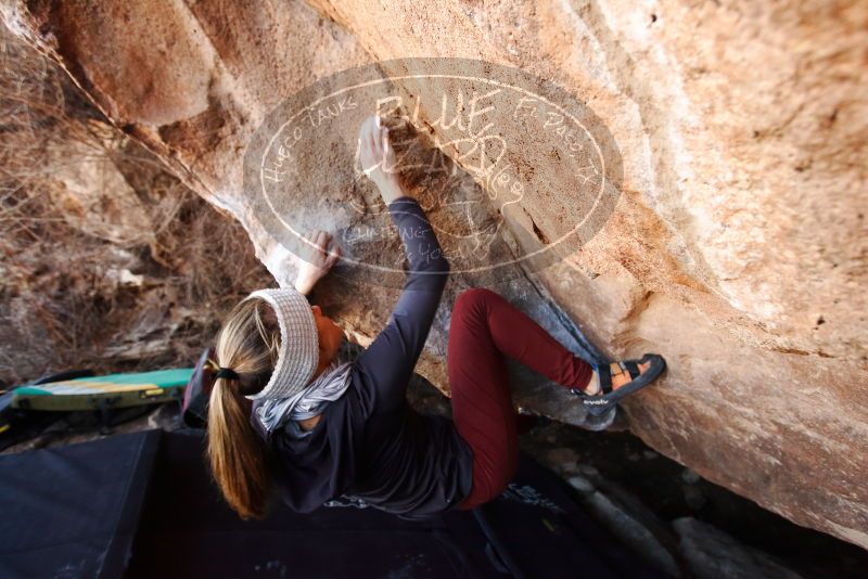 Bouldering in Hueco Tanks on 01/12/2019 with Blue Lizard Climbing and Yoga

Filename: SRM_20190112_1340390.jpg
Aperture: f/4.5
Shutter Speed: 1/200
Body: Canon EOS-1D Mark II
Lens: Canon EF 16-35mm f/2.8 L