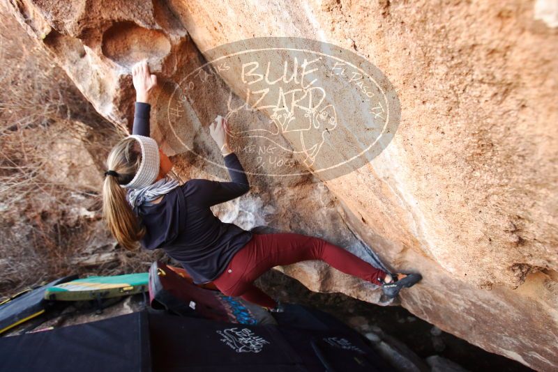 Bouldering in Hueco Tanks on 01/12/2019 with Blue Lizard Climbing and Yoga

Filename: SRM_20190112_1340570.jpg
Aperture: f/4.5
Shutter Speed: 1/200
Body: Canon EOS-1D Mark II
Lens: Canon EF 16-35mm f/2.8 L