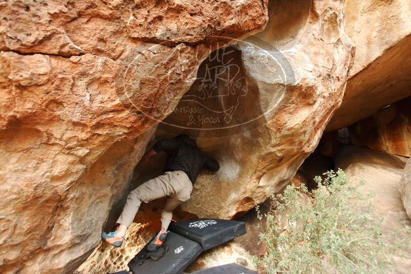 Bouldering in Hueco Tanks on 01/12/2019 with Blue Lizard Climbing and Yoga

Filename: SRM_20190112_1805250.jpg
Aperture: f/2.8
Shutter Speed: 1/100
Body: Canon EOS-1D Mark II
Lens: Canon EF 16-35mm f/2.8 L