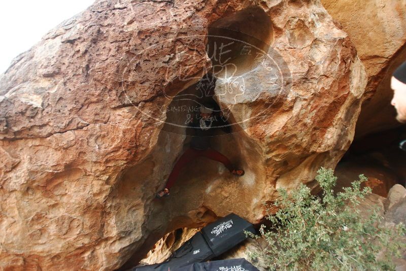 Bouldering in Hueco Tanks on 01/12/2019 with Blue Lizard Climbing and Yoga

Filename: SRM_20190112_1808460.jpg
Aperture: f/2.8
Shutter Speed: 1/125
Body: Canon EOS-1D Mark II
Lens: Canon EF 16-35mm f/2.8 L