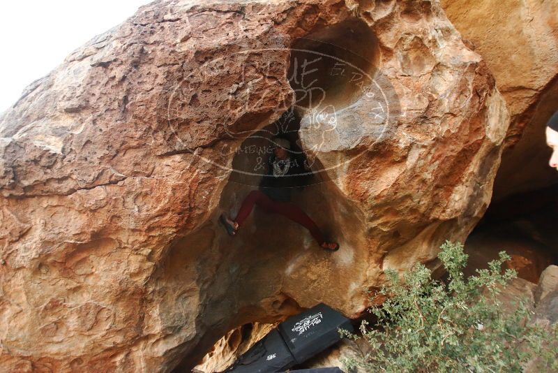 Bouldering in Hueco Tanks on 01/12/2019 with Blue Lizard Climbing and Yoga

Filename: SRM_20190112_1808480.jpg
Aperture: f/2.8
Shutter Speed: 1/160
Body: Canon EOS-1D Mark II
Lens: Canon EF 16-35mm f/2.8 L