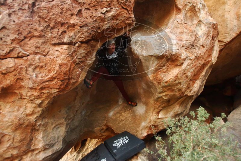 Bouldering in Hueco Tanks on 01/12/2019 with Blue Lizard Climbing and Yoga

Filename: SRM_20190112_1808580.jpg
Aperture: f/2.8
Shutter Speed: 1/125
Body: Canon EOS-1D Mark II
Lens: Canon EF 16-35mm f/2.8 L