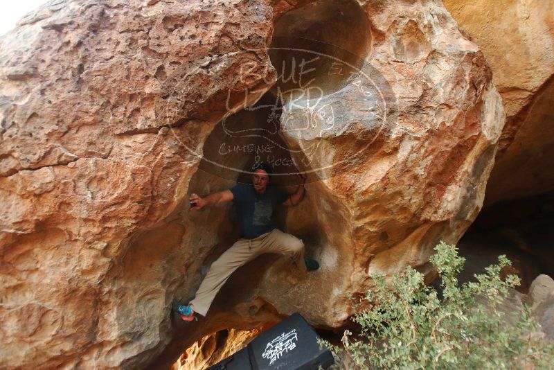 Bouldering in Hueco Tanks on 01/12/2019 with Blue Lizard Climbing and Yoga

Filename: SRM_20190112_1817590.jpg
Aperture: f/2.8
Shutter Speed: 1/80
Body: Canon EOS-1D Mark II
Lens: Canon EF 16-35mm f/2.8 L