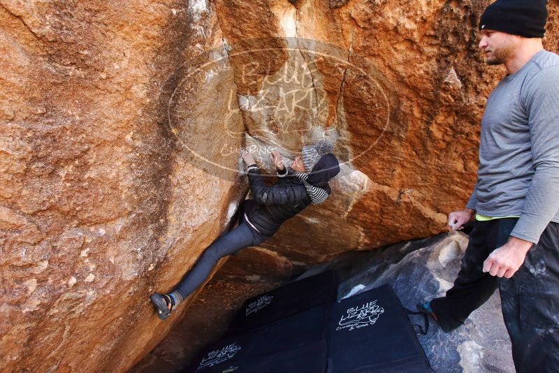 Bouldering in Hueco Tanks on 01/13/2019 with Blue Lizard Climbing and Yoga

Filename: SRM_20190113_1139190.jpg
Aperture: f/5.0
Shutter Speed: 1/200
Body: Canon EOS-1D Mark II
Lens: Canon EF 16-35mm f/2.8 L