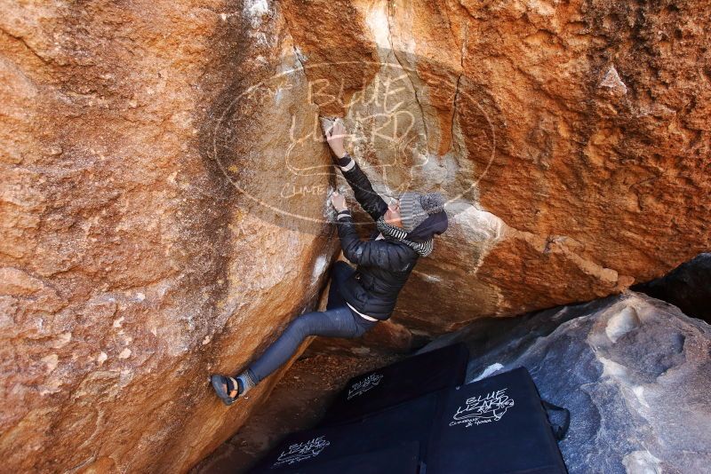 Bouldering in Hueco Tanks on 01/13/2019 with Blue Lizard Climbing and Yoga

Filename: SRM_20190113_1142270.jpg
Aperture: f/5.0
Shutter Speed: 1/200
Body: Canon EOS-1D Mark II
Lens: Canon EF 16-35mm f/2.8 L