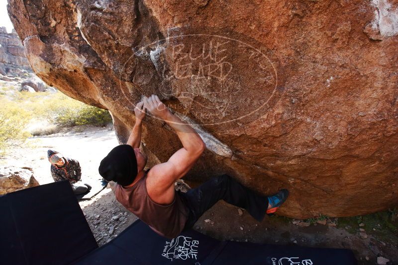 Bouldering in Hueco Tanks on 01/13/2019 with Blue Lizard Climbing and Yoga

Filename: SRM_20190113_1155320.jpg
Aperture: f/5.6
Shutter Speed: 1/400
Body: Canon EOS-1D Mark II
Lens: Canon EF 16-35mm f/2.8 L