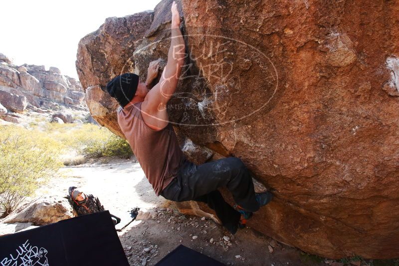 Bouldering in Hueco Tanks on 01/13/2019 with Blue Lizard Climbing and Yoga

Filename: SRM_20190113_1155440.jpg
Aperture: f/5.6
Shutter Speed: 1/500
Body: Canon EOS-1D Mark II
Lens: Canon EF 16-35mm f/2.8 L