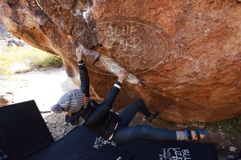 Bouldering in Hueco Tanks on 01/13/2019 with Blue Lizard Climbing and Yoga

Filename: SRM_20190113_1159290.jpg
Aperture: f/5.6
Shutter Speed: 1/320
Body: Canon EOS-1D Mark II
Lens: Canon EF 16-35mm f/2.8 L