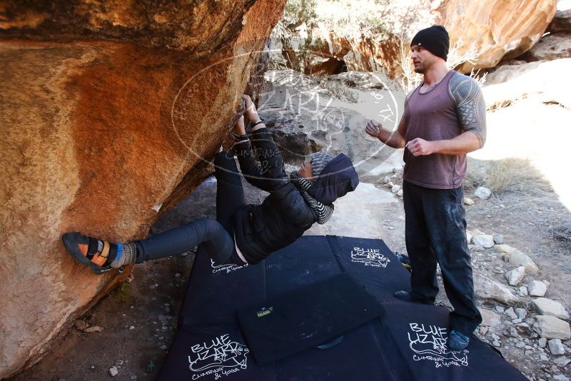 Bouldering in Hueco Tanks on 01/13/2019 with Blue Lizard Climbing and Yoga

Filename: SRM_20190113_1204290.jpg
Aperture: f/5.6
Shutter Speed: 1/320
Body: Canon EOS-1D Mark II
Lens: Canon EF 16-35mm f/2.8 L