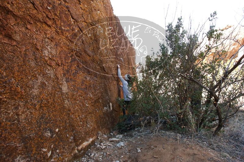 Bouldering in Hueco Tanks on 01/13/2019 with Blue Lizard Climbing and Yoga

Filename: SRM_20190113_1329180.jpg
Aperture: f/5.6
Shutter Speed: 1/200
Body: Canon EOS-1D Mark II
Lens: Canon EF 16-35mm f/2.8 L