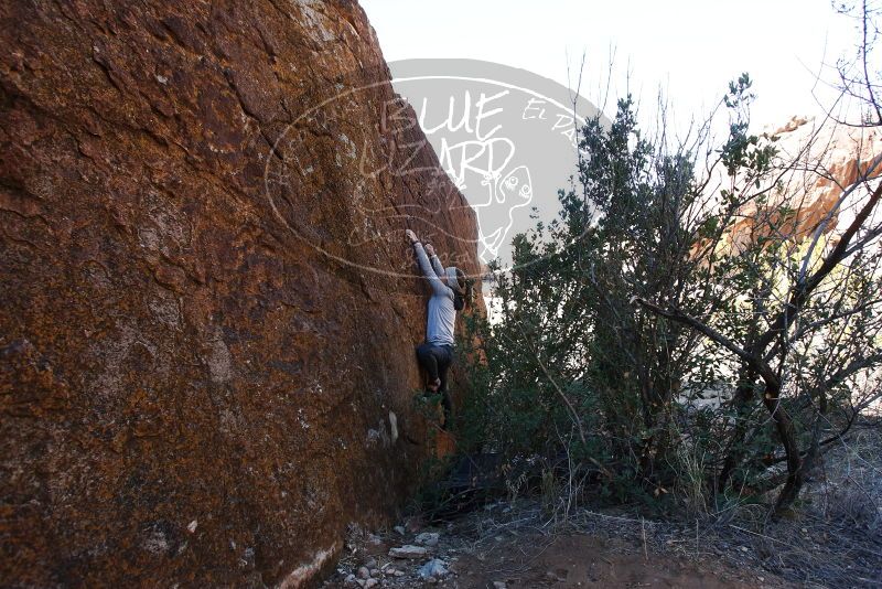 Bouldering in Hueco Tanks on 01/13/2019 with Blue Lizard Climbing and Yoga

Filename: SRM_20190113_1329260.jpg
Aperture: f/5.6
Shutter Speed: 1/250
Body: Canon EOS-1D Mark II
Lens: Canon EF 16-35mm f/2.8 L