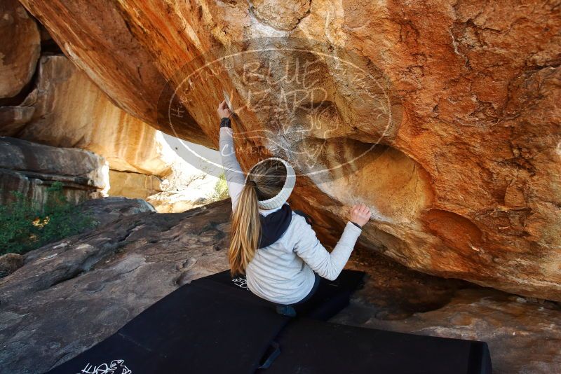 Bouldering in Hueco Tanks on 01/13/2019 with Blue Lizard Climbing and Yoga

Filename: SRM_20190113_1442310.jpg
Aperture: f/5.0
Shutter Speed: 1/250
Body: Canon EOS-1D Mark II
Lens: Canon EF 16-35mm f/2.8 L