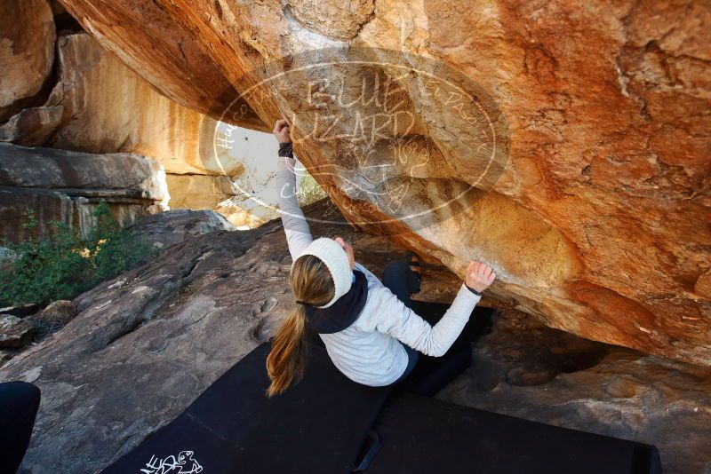 Bouldering in Hueco Tanks on 01/13/2019 with Blue Lizard Climbing and Yoga

Filename: SRM_20190113_1442390.jpg
Aperture: f/5.0
Shutter Speed: 1/250
Body: Canon EOS-1D Mark II
Lens: Canon EF 16-35mm f/2.8 L