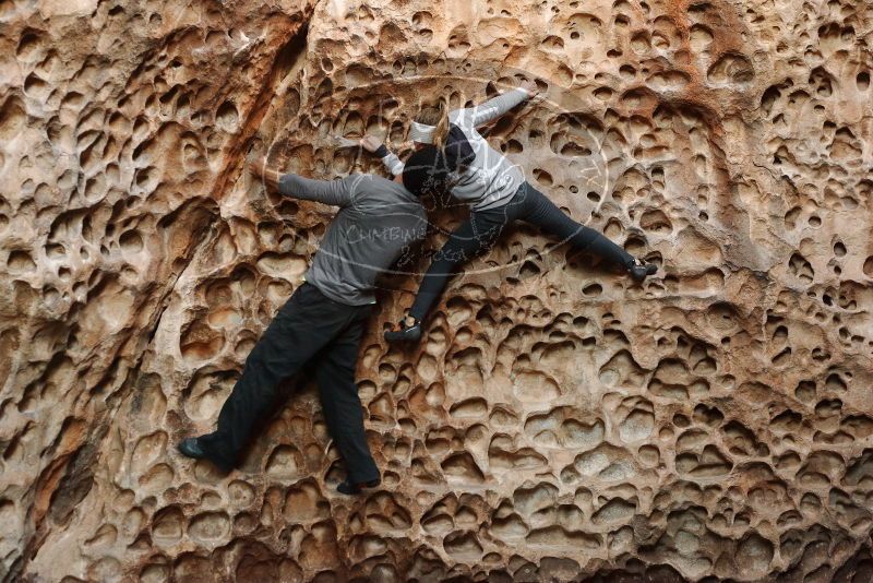 Bouldering in Hueco Tanks on 01/13/2019 with Blue Lizard Climbing and Yoga

Filename: SRM_20190113_1625390.jpg
Aperture: f/4.0
Shutter Speed: 1/80
Body: Canon EOS-1D Mark II
Lens: Canon EF 50mm f/1.8 II