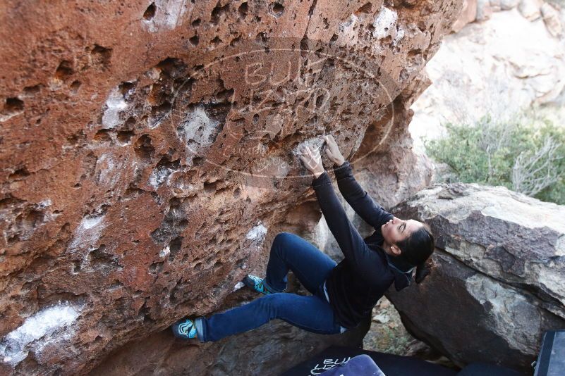 Bouldering in Hueco Tanks on 01/14/2019 with Blue Lizard Climbing and Yoga

Filename: SRM_20190114_1016030.jpg
Aperture: f/4.0
Shutter Speed: 1/160
Body: Canon EOS-1D Mark II
Lens: Canon EF 16-35mm f/2.8 L