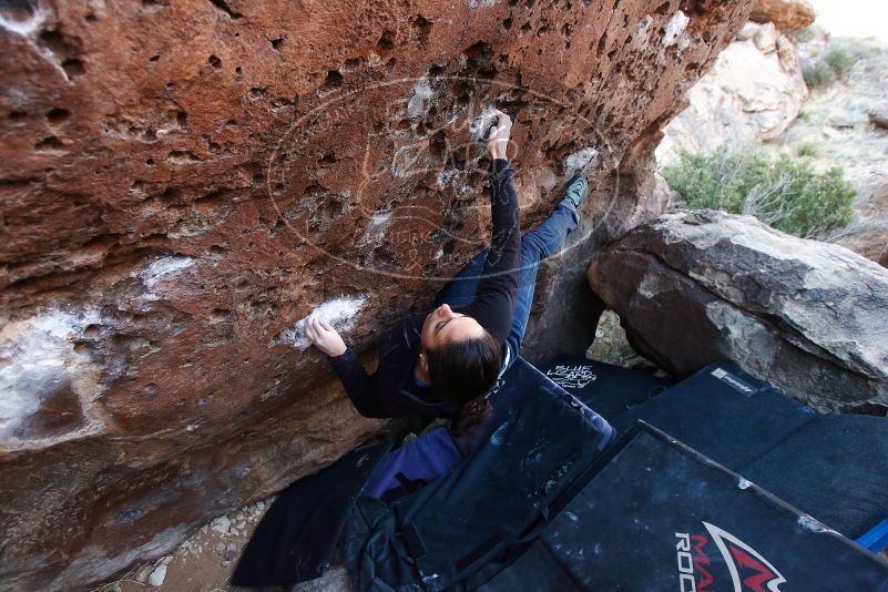 Bouldering in Hueco Tanks on 01/14/2019 with Blue Lizard Climbing and Yoga

Filename: SRM_20190114_1044340.jpg
Aperture: f/4.0
Shutter Speed: 1/200
Body: Canon EOS-1D Mark II
Lens: Canon EF 16-35mm f/2.8 L