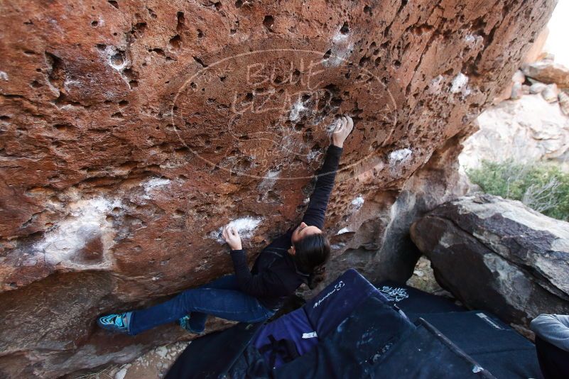 Bouldering in Hueco Tanks on 01/14/2019 with Blue Lizard Climbing and Yoga

Filename: SRM_20190114_1051060.jpg
Aperture: f/3.5
Shutter Speed: 1/200
Body: Canon EOS-1D Mark II
Lens: Canon EF 16-35mm f/2.8 L