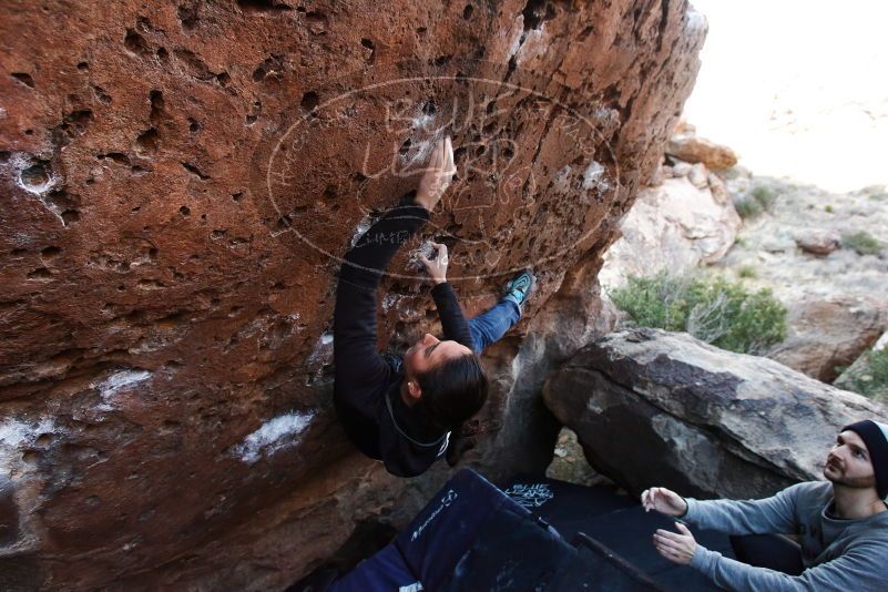 Bouldering in Hueco Tanks on 01/14/2019 with Blue Lizard Climbing and Yoga

Filename: SRM_20190114_1051200.jpg
Aperture: f/4.5
Shutter Speed: 1/200
Body: Canon EOS-1D Mark II
Lens: Canon EF 16-35mm f/2.8 L