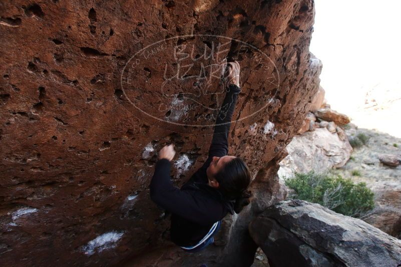 Bouldering in Hueco Tanks on 01/14/2019 with Blue Lizard Climbing and Yoga

Filename: SRM_20190114_1051250.jpg
Aperture: f/5.6
Shutter Speed: 1/200
Body: Canon EOS-1D Mark II
Lens: Canon EF 16-35mm f/2.8 L