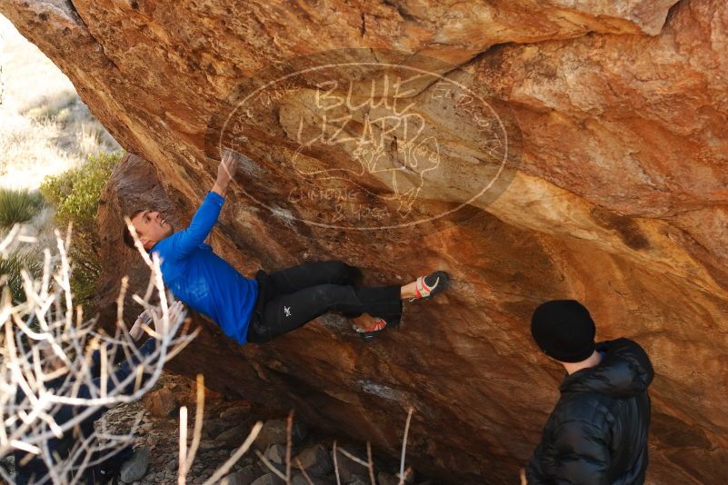 Bouldering in Hueco Tanks on 01/14/2019 with Blue Lizard Climbing and Yoga

Filename: SRM_20190114_1123020.jpg
Aperture: f/4.0
Shutter Speed: 1/250
Body: Canon EOS-1D Mark II
Lens: Canon EF 50mm f/1.8 II