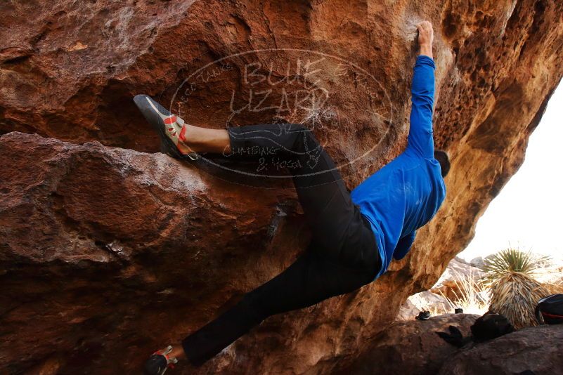 Bouldering in Hueco Tanks on 01/14/2019 with Blue Lizard Climbing and Yoga

Filename: SRM_20190114_1137561.jpg
Aperture: f/8.0
Shutter Speed: 1/200
Body: Canon EOS-1D Mark II
Lens: Canon EF 16-35mm f/2.8 L