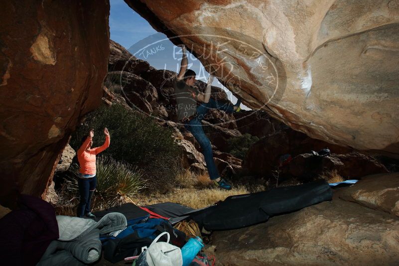 Bouldering in Hueco Tanks on 01/14/2019 with Blue Lizard Climbing and Yoga

Filename: SRM_20190114_1354160.jpg
Aperture: f/8.0
Shutter Speed: 1/250
Body: Canon EOS-1D Mark II
Lens: Canon EF 16-35mm f/2.8 L