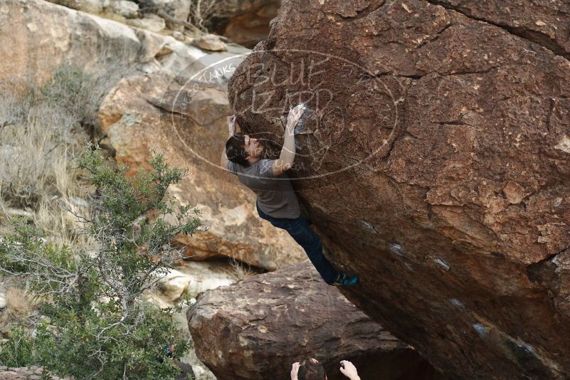 Bouldering in Hueco Tanks on 01/14/2019 with Blue Lizard Climbing and Yoga

Filename: SRM_20190114_1649160.jpg
Aperture: f/3.2
Shutter Speed: 1/320
Body: Canon EOS-1D Mark II
Lens: Canon EF 50mm f/1.8 II