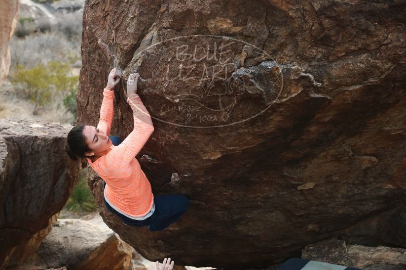 Bouldering in Hueco Tanks on 01/14/2019 with Blue Lizard Climbing and Yoga

Filename: SRM_20190114_1703200.jpg
Aperture: f/3.5
Shutter Speed: 1/250
Body: Canon EOS-1D Mark II
Lens: Canon EF 50mm f/1.8 II